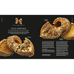 Книга Treasures of India From Antiquity to Modernity варинант исполнения - 3 | Loft Concept в Красноярске