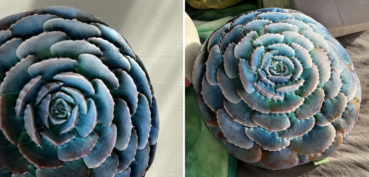 Декоративная подушка Botanical Cushion Succulentus Декоративная подушка Botanical Cushion Succulentus - Loft-Concept в Красноярске