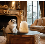 Настольная лампа в форме трапеции из натурального камня Soft Glow of Stone варинант исполнения - 5 | Loft Concept в Красноярске