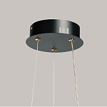 Люстра с прозрачным волнистым плафоном в форме цветка Ethereal Bloom варинант исполнения - 11 | Loft Concept в Красноярске