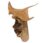 Статуэтка из дерева скат Animals of the World варинант исполнения - 2 | Loft Concept в Красноярске