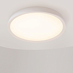 Потолочный светильник Incognito 2700-4000К 46Вт варинант исполнения - 4 | Loft Concept в Красноярске