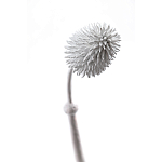 Статуэтка тропический фрукт Pandora Tropical Fruit Tall White варинант исполнения - 1 | Loft Concept в Красноярске