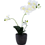 Декоративный искусственное растение Angel Orchid варинант исполнения - 1 | Loft Concept в Красноярске