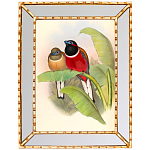 Постер с изображением птиц и цветов в зеркальной раме Blooming Birds Poster варинант исполнения - 6 | Loft Concept в Красноярске
