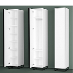 Шкаф-пенал белый с зеркальной дверцей Strict Lines варинант исполнения - 5 | Loft Concept в Красноярске