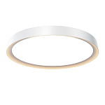 Потолочный светильник Incognito 2700-4000К 46Вт варинант исполнения - 1 | Loft Concept в Красноярске