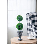 Декоративный искусственное растение Double boxwood варинант исполнения - 5 | Loft Concept в Красноярске