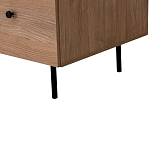 Шкаф с принтом Floral notes варинант исполнения - 6 | Loft Concept в Красноярске