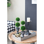 Декоративный искусственное растение Double boxwood варинант исполнения - 8 | Loft Concept в Красноярске