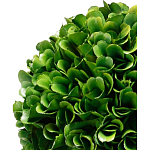 Декоративный искусственное растение Single boxwood варинант исполнения - 2 | Loft Concept в Красноярске