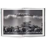 Книга Beusker. Look into my Eyes варинант исполнения - 2 | Loft Concept в Красноярске