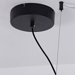 Люстра подвесная светодиодная черный металл Ring Horizontal варинант исполнения - 13 | Loft Concept в Красноярске