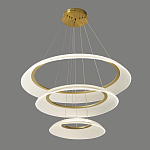 Люстра подвесная с 3-мя кольцевыми светодиодными лампами Catcher варинант исполнения - 1 | Loft Concept в Красноярске