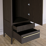 Узкий Шкаф Primo с 2 выдвижными ящиками Темный орех варинант исполнения - 5 | Loft Concept в Красноярске