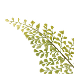 Декоративный искусственное растение Dried flower варинант исполнения - 3 | Loft Concept в Красноярске