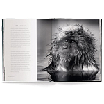 Книга Beusker. Look into my Eyes варинант исполнения - 3 | Loft Concept в Красноярске