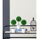 Декоративный искусственное растение Boxwood One варинант исполнения - 9 | Loft Concept в Красноярске