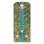 Сувенир Погон Старший Лейтенант ВДВ из натурального камня змеевик Souvenir Epaulets варинант исполнения - 1 | Loft Concept в Красноярске