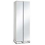 Двухдверный шкаф с зеркальными дверцами Strict Lines варинант исполнения - 5 | Loft Concept в Красноярске