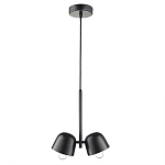 Подвесной светильник черный с 2-мя плафонами Pendant lamp Black варинант исполнения - 1 | Loft Concept в Красноярске