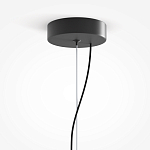 Подвесной светильник Rare grapes варинант исполнения - 4 | Loft Concept в Красноярске