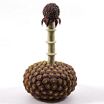 Статуэтка тропический фрукт Pandora Tropical Fruit Brown варинант исполнения - 2 | Loft Concept в Красноярске