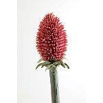 Статуэтка тропический фрукт Pandora Tropical Fruit Orange Red Round варинант исполнения - 3 | Loft Concept в Красноярске