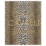 Редкое коллекционное издание Casa Cavalli Home: Celebrating the Roberto Cavalli Lifestyle Леопард варинант исполнения - 1 | Loft Concept в Красноярске