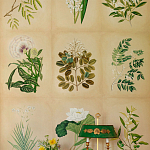 Обои ручная роспись Botanical Studies Linnaeus colourway варинант исполнения - 3 | Loft Concept в Красноярске