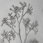 Панно Лесной цветок варинант исполнения - 4 | Loft Concept в Красноярске