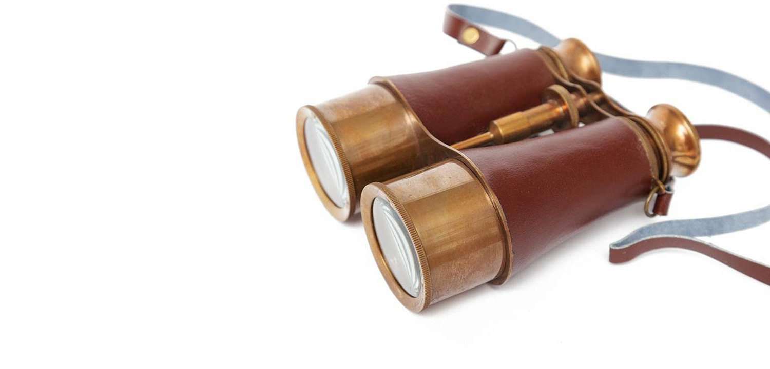 Винтажный бинокль в подарочной коробке Victorian Era Brass Binoculars - Loft-Concept в Красноярске