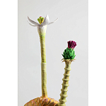 Статуэтка тропический фрукт Pandora Tropical Fruit Orange Two Flowers варинант исполнения - 2 | Loft Concept в Красноярске