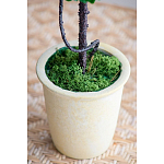 Декоративный искусственное растение Single boxwood варинант исполнения - 6 | Loft Concept в Красноярске