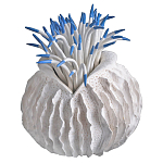 Статуэтка тропический фрукт Tropical Fruit White Blue варинант исполнения - 2 | Loft Concept в Красноярске