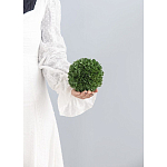 Декоративный искусственное растение Small boxwood варинант исполнения - 3 | Loft Concept в Красноярске