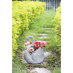 Кашпо The Proud Swan варинант исполнения - 6 | Loft Concept в Красноярске