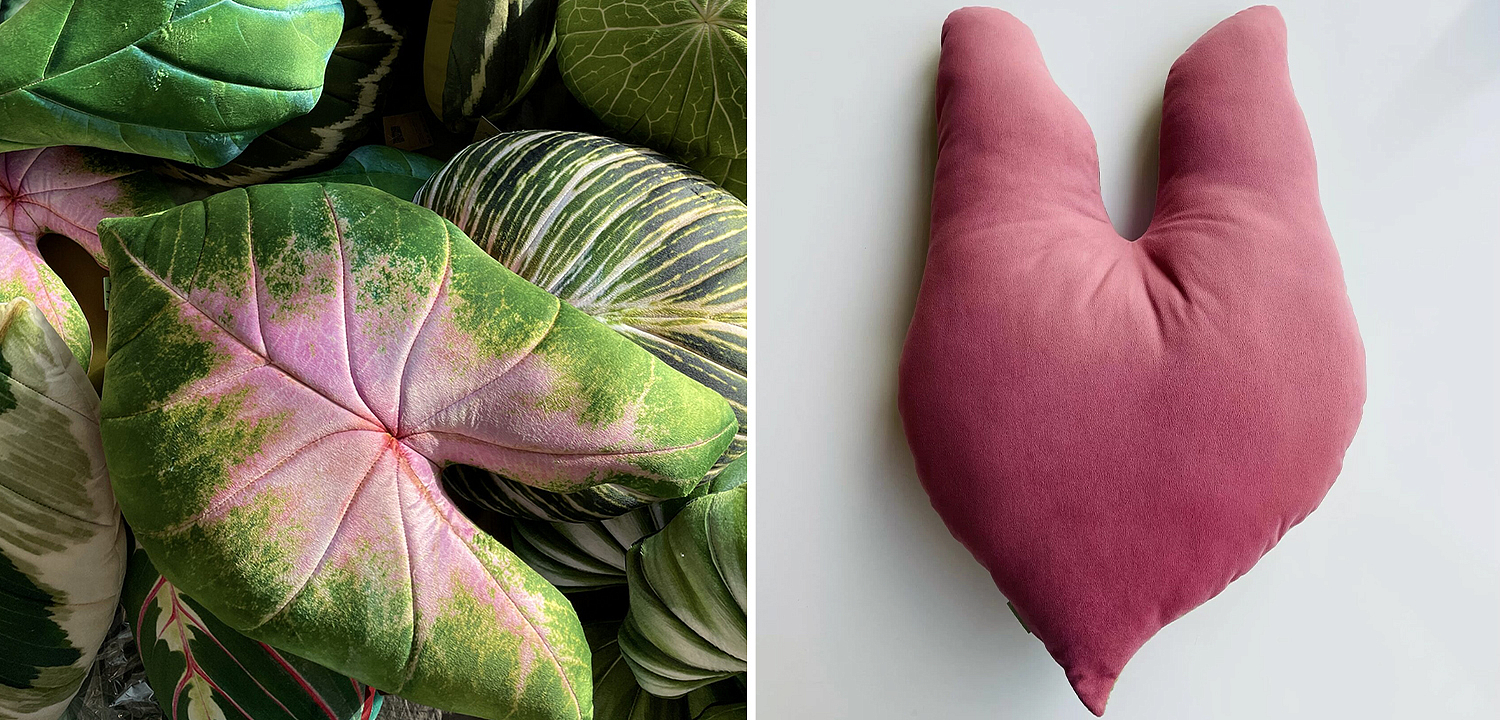 Декоративная подушка Botanical Cushion Caladium Bicolor Декоративная подушка Botanical Cushion Caladium Bicolor - Loft-Concept в Красноярске