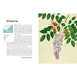 Прекрасно иллюстрированная книга более 100 ботанических произведений Plant Hunters Atlas варинант исполнения - 4 | Loft Concept в Красноярске