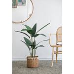 Декоративный искусственное растение Decor Stile  варинант исполнения - 5 | Loft Concept в Красноярске