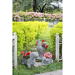 Кашпо The self-confident swan варинант исполнения - 8 | Loft Concept в Красноярске